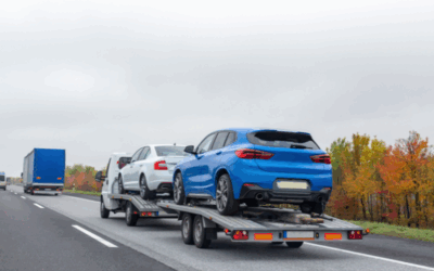 Autolaweta dla firm – jak mogą korzystać z transportu pojazdów floty?